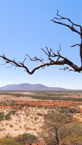 Mount Augustus, WA. 